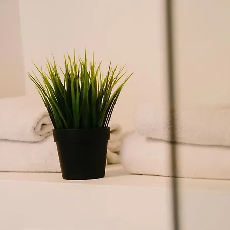 艾姆巴萨德洛酒店 酒店 3*